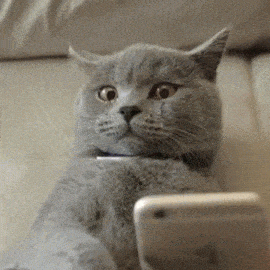 e-commerce automation